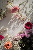 A colorful flat lay of various flowers on a white surface with sunlight casting shadows.